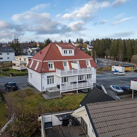 Bramy The Bucks Τρόμσο